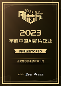 2023年度中国AI芯片企业先锋企业TOP30